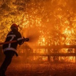 incendios-Francia.png